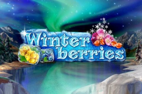 Winter Berries