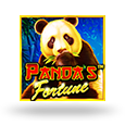 Pandas Fortune