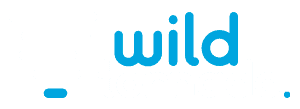 Wild Tornado